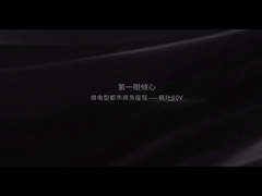 Feuille d'érable de Geely 80V