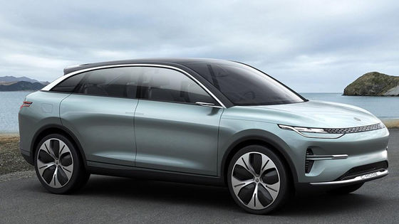 Véhicules électriques à grande vitesse des véhicules à moteur SUV New Energy Lingpao C11 pour des adultes