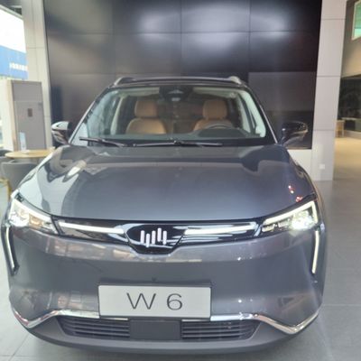 WM W6 Grandes voitures électriques 520KM 620KM New Energy Weltmeister Voiture électrique SUV