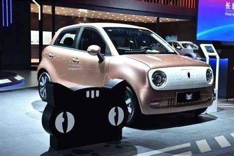 Noir électrique d'Euler de voitures de 351KM mini EV Cat New Energy Vehices 102km/h pour Madame