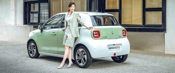 Noir électrique d'Euler de voitures de 351KM mini EV Cat New Energy Vehices 102km/h pour Madame