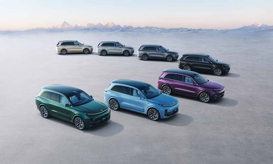 42.8kWh batterie 6 Seat SUV électrique