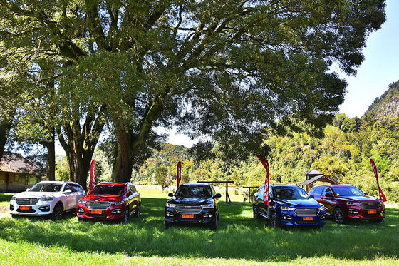 110km 4 voitures électriques GWM Haval H6 DHT PHEV d'entraînement de roue branchent dans des véhicules hybrides