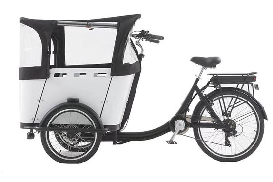tricycle électrique de la livraison de l'enfant 250W/cargaison avec l'auvent