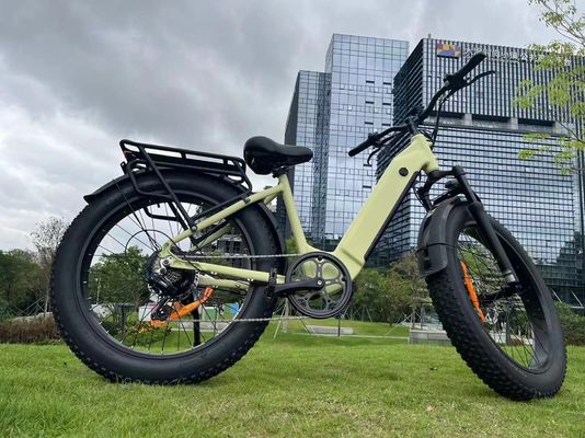 EB11 26" étape X4.0 par le vélo électrique 250/750/1000w de gros pneu