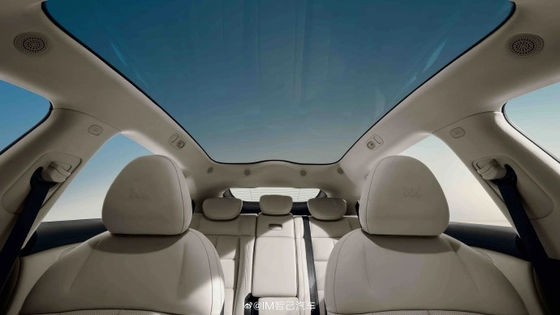 Zhiji LS6 Puissance maximale de 575 kW Toutes les voitures électriques avec une vitesse maximale de 252 km / h Véhicule de sport électrique