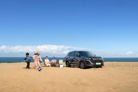 Le plus récent PHEV SERES Hautes performances Moyenne taille 7 sièges Plug In SUV hybride SERES LANDIAN E5