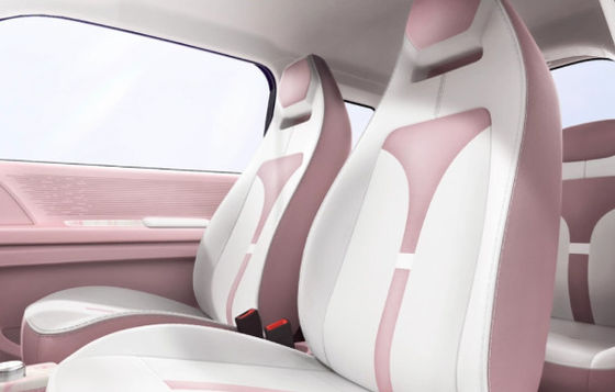 Options de couleurs multiples Mini Ev Cars Zhido Rainbow avec CLTP 205km 17,13/17,3kwh Batterie pour une puissance de 20 & 30kw